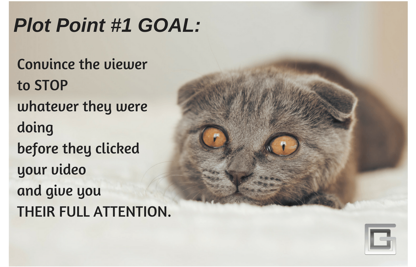 Convince the viewer that they MUST watch your video.